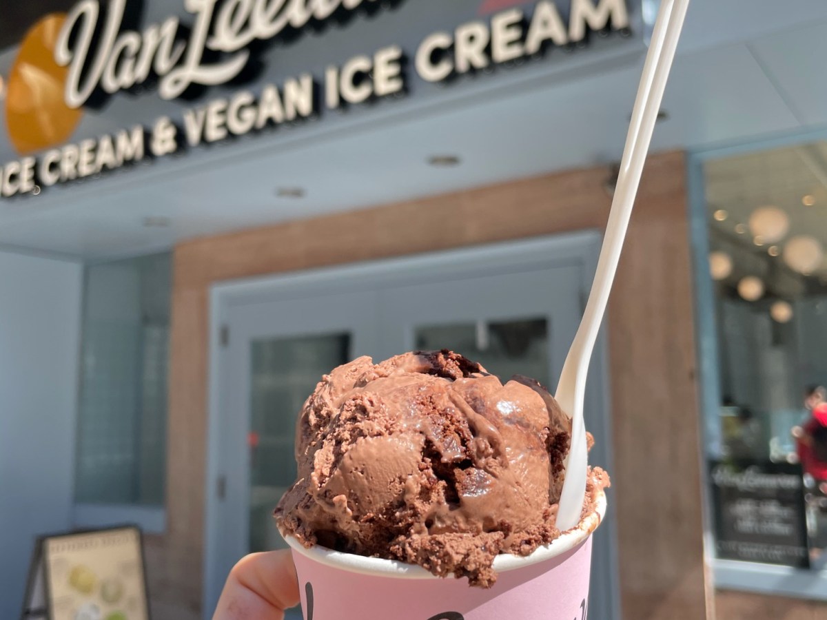 Van Leeuwen – Philadelphia, PA (and other locations, most notably,&nbsp;NYC)